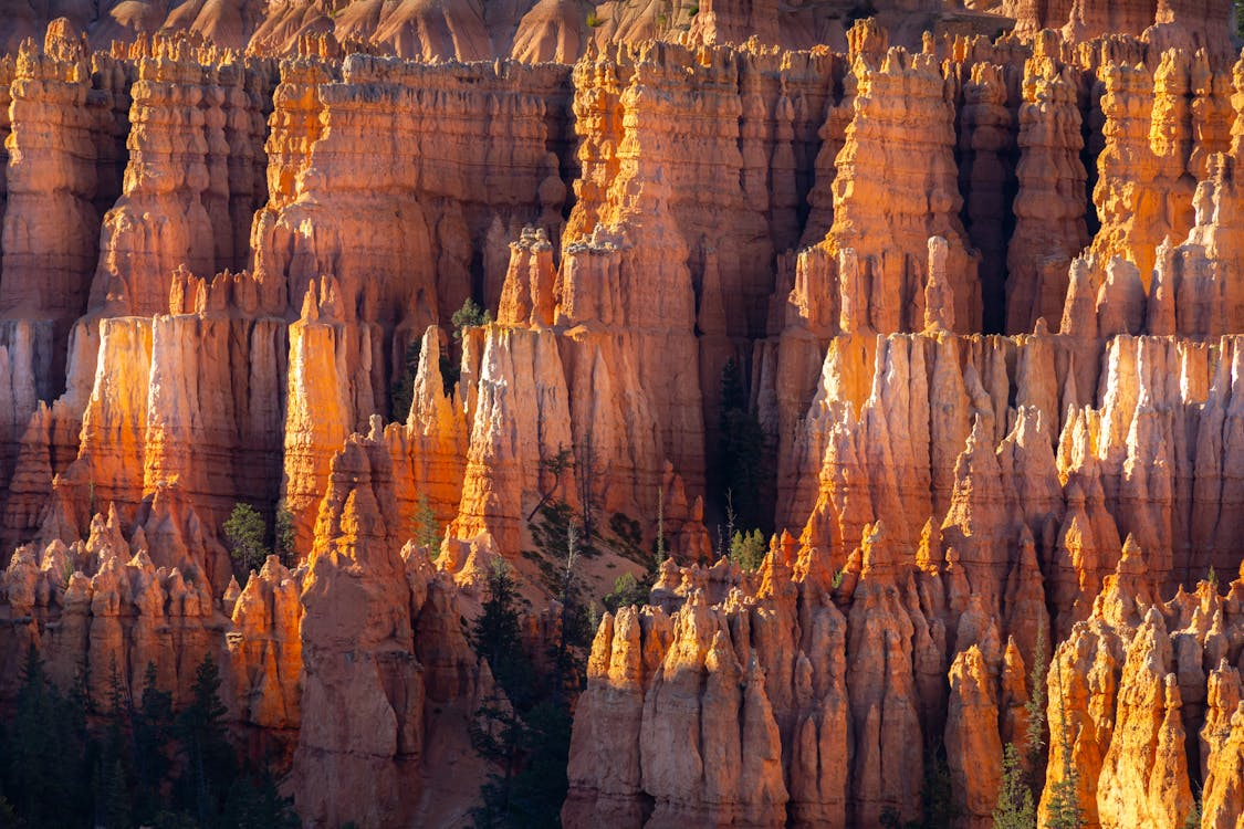 Bryce Canyon National Park Camping