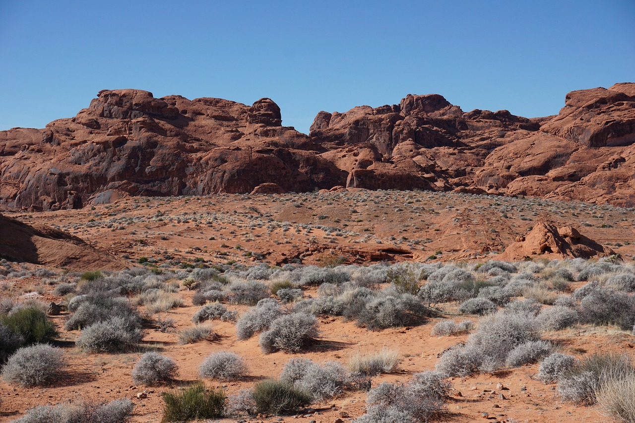 Valley Of Fire State Park Camping
