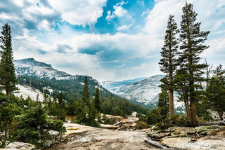 Beautiful scenic view of alpine mountains and forest